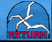 Return