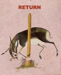 Return