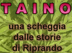 TAINO - una scheggia dalle storie di Riprando