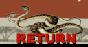 Return