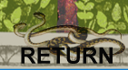 Return