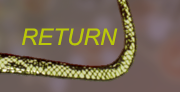 Return